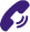 Phone Icon